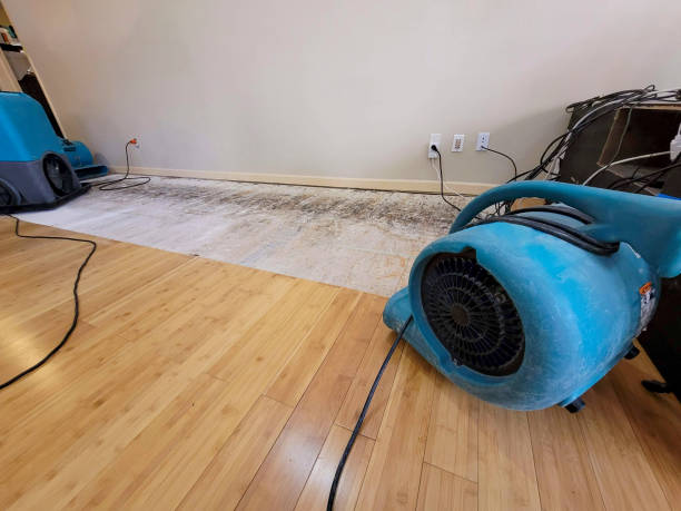 Professional Ceiling Water Damage Repair technician working in Mims, FL